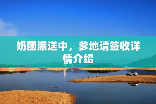 奶团派送中，爹地请签收详情介绍