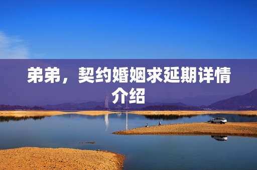 弟弟，契约婚姻求延期详情介绍