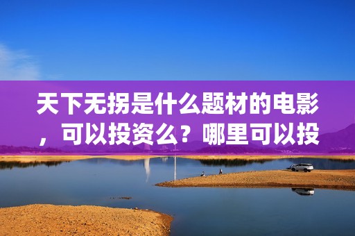 天下无拐是什么题材的电影，可以投资么？哪里可以投资？(天下无拐是什么意思)
