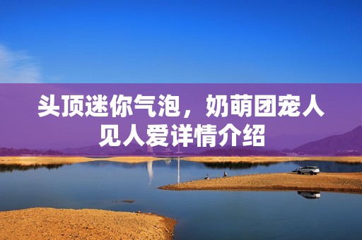 头顶迷你气泡，奶萌团宠人见人爱详情介绍