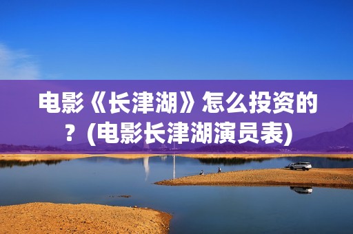 电影《长津湖》怎么投资的？(电影长津湖演员表)