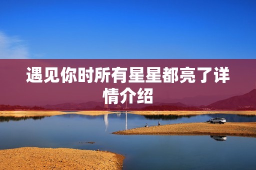 遇见你时所有星星都亮了详情介绍