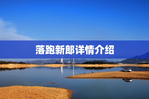 落跑新郎详情介绍