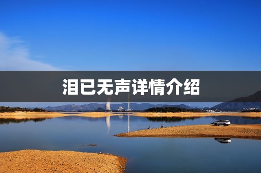 泪已无声详情介绍