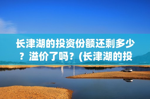 长津湖的投资份额还剩多少？溢价了吗？(长津湖的投资额)