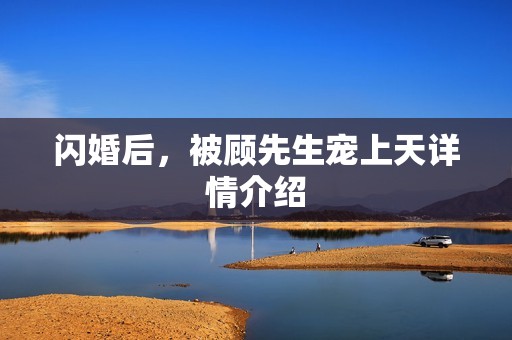 闪婚后，被顾先生宠上天详情介绍