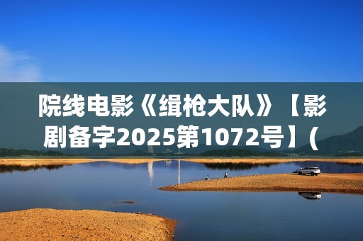 院线电影《缉枪大队》【影剧备字2025第1072号】(缉枪电影演员表)