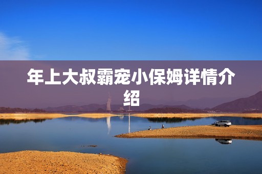 年上大叔霸宠小保姆详情介绍