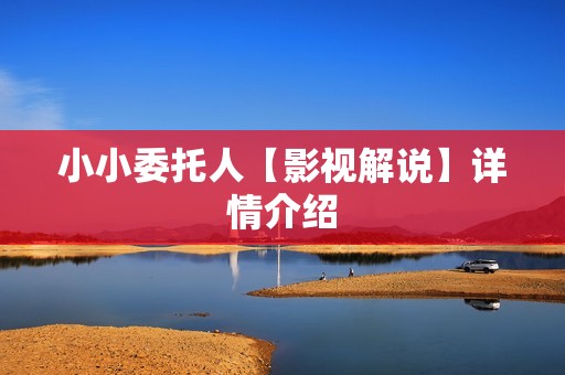 小小委托人【影视解说】详情介绍