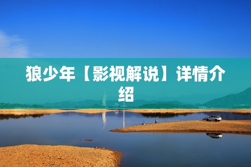 狼少年【影视解说】详情介绍