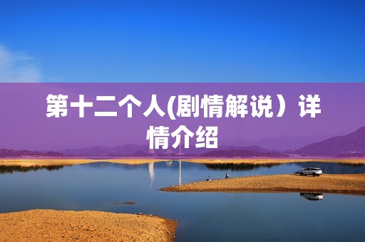 第十二个人(剧情解说）详情介绍