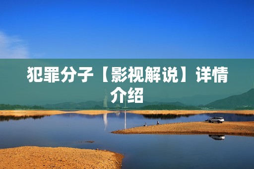 犯罪分子【影视解说】详情介绍