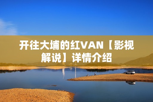 开往大埔的红VAN【影视解说】详情介绍
