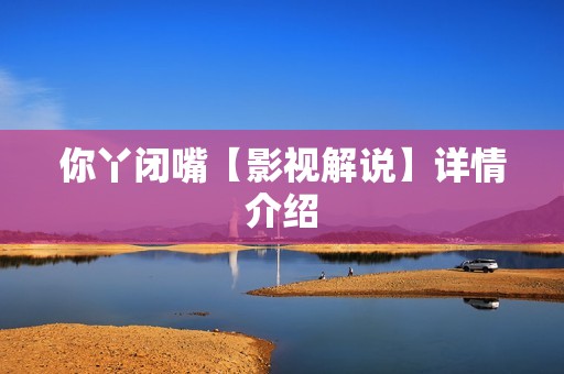 你丫闭嘴【影视解说】详情介绍