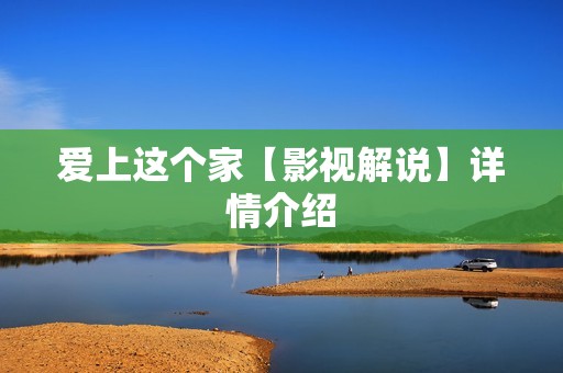 爱上这个家【影视解说】详情介绍