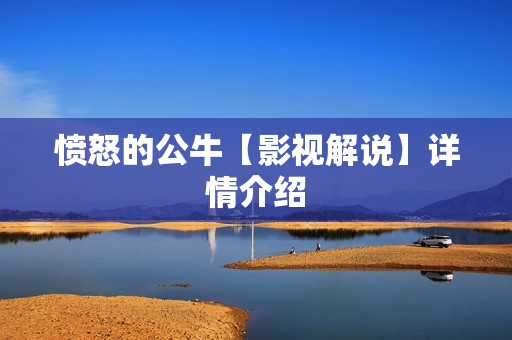 愤怒的公牛【影视解说】详情介绍