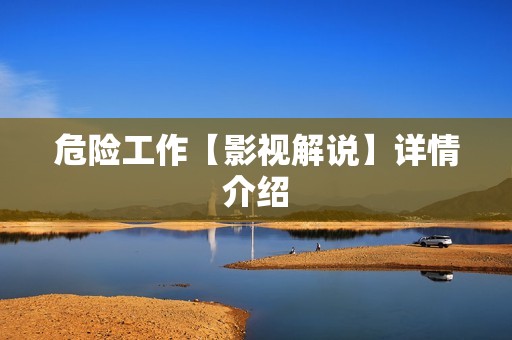 危险工作【影视解说】详情介绍