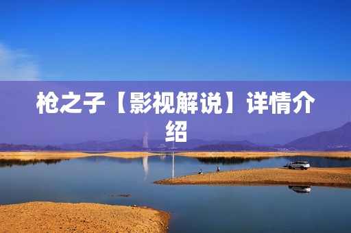 枪之子【影视解说】详情介绍