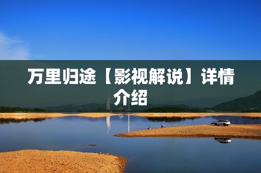 万里归途【影视解说】详情介绍