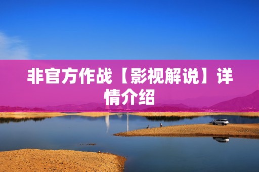 非官方作战【影视解说】详情介绍