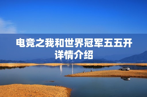 电竞之我和世界冠军五五开详情介绍