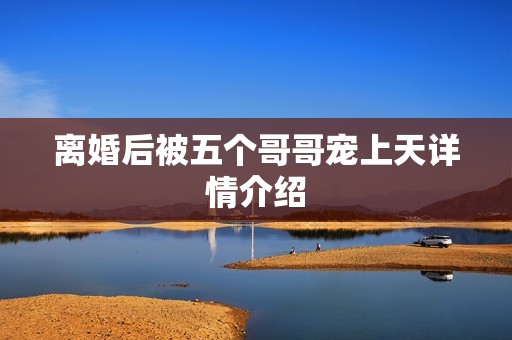 离婚后被五个哥哥宠上天详情介绍