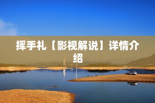 挥手礼【影视解说】详情介绍