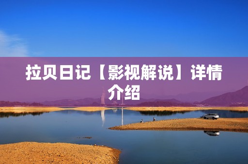 拉贝日记【影视解说】详情介绍