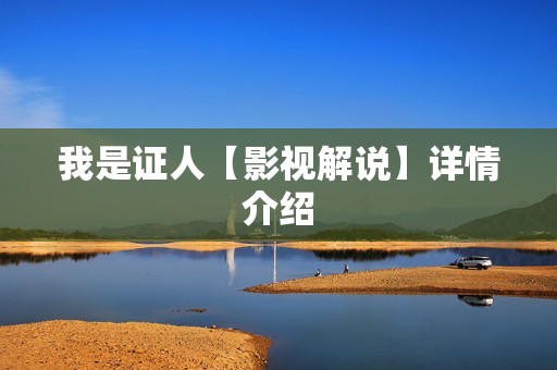 我是证人【影视解说】详情介绍