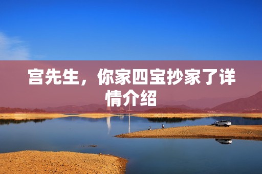 宫先生，你家四宝抄家了详情介绍