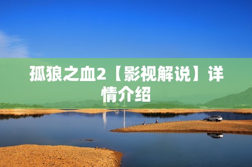 孤狼之血2【影视解说】详情介绍