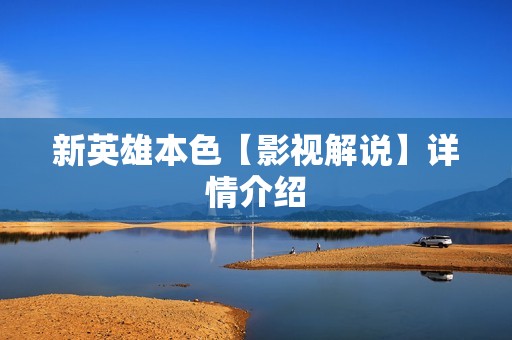 新英雄本色【影视解说】详情介绍