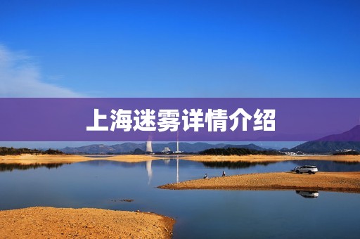 上海迷雾详情介绍