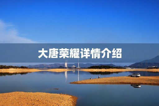 大唐荣耀详情介绍