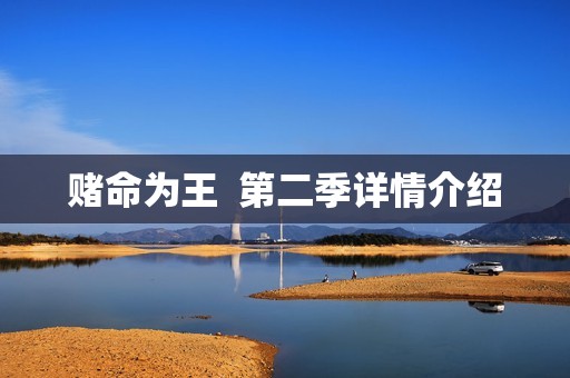赌命为王  第二季详情介绍