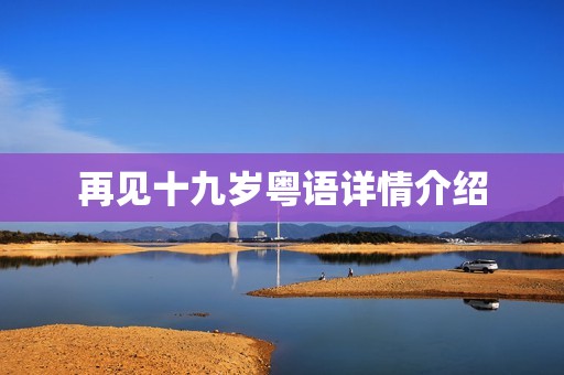 再见十九岁粤语详情介绍