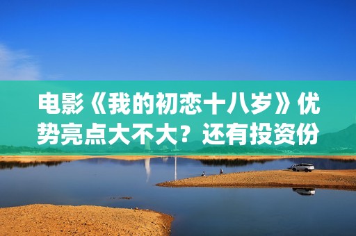 电影《我的初恋十八岁》优势亮点大不大？还有投资份额吗？(电影《我的初恋十八岁》)