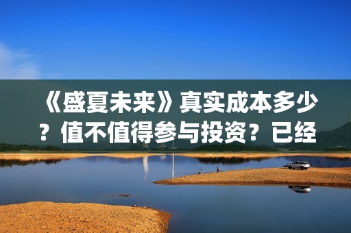 《盛夏未来》真实成本多少？值不值得参与投资？已经定档了吗？(盛夏未来zy)