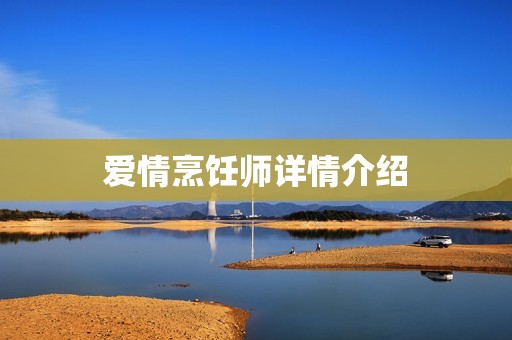 爱情烹饪师详情介绍