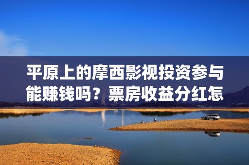 平原上的摩西影视投资参与能赚钱吗？票房收益分红怎么计算和分配？(平原上的摩西影评)