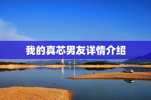 我的真芯男友详情介绍