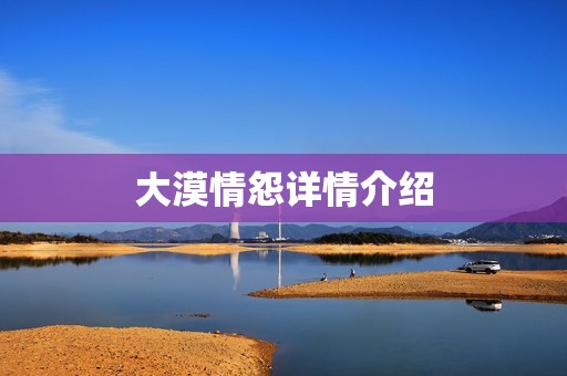 大漠情怨详情介绍