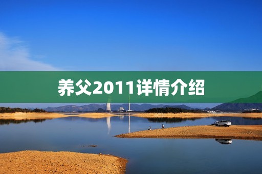 养父2011详情介绍