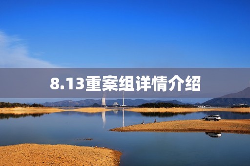 8.13重案组详情介绍
