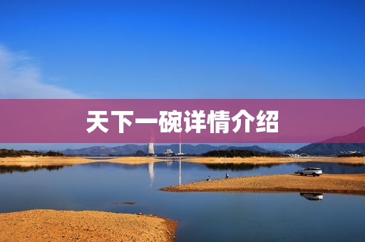 天下一碗详情介绍