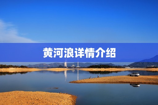 黄河浪详情介绍