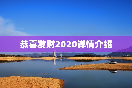 恭喜发财2020详情介绍