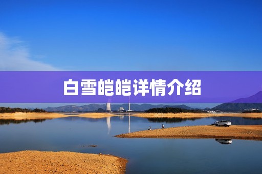 白雪皑皑详情介绍