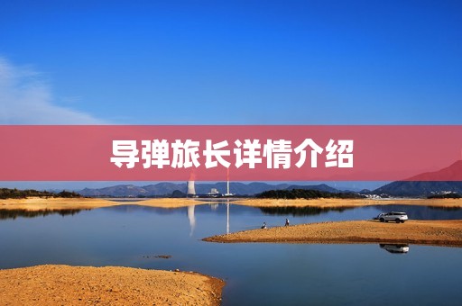 导弹旅长详情介绍