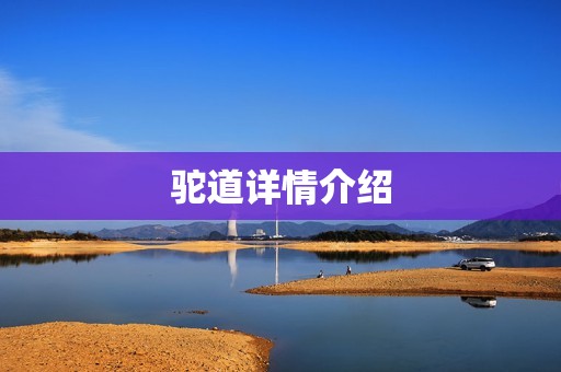 驼道详情介绍